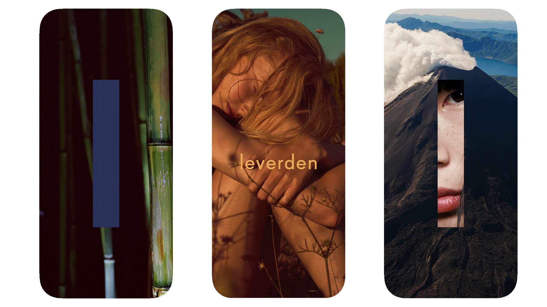 leverden-Social leverden-Social
